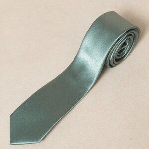 Ivy City Men's Max Tie in Seaglass Satin. NWT!